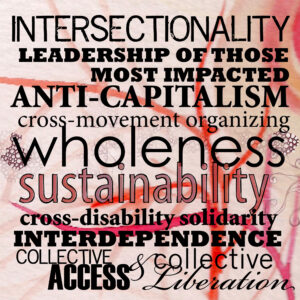 Poster of the 10 Principles of Disability Justice in a variety of black typefaces. Background features abstract color splotches and paint-like strokes in shades of pink, coral, and red. Principles include: intersectionality, leadership of the most impacted, anti-capitalism, cross-movement organizing, wholeness, sustainability, cross-disability solidarity, interdependence, collective access, and collective liberation.